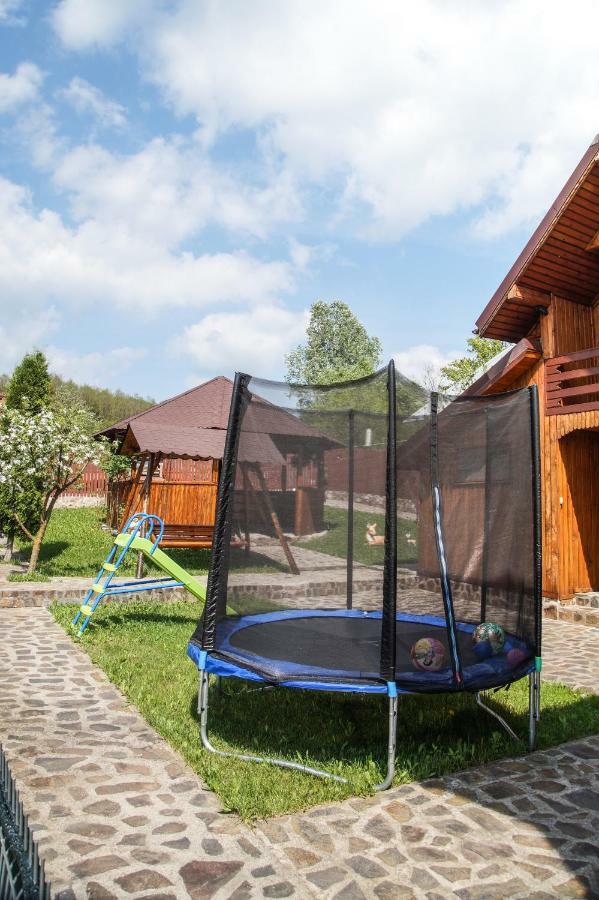 Pensiunea Nicol Hotel Valea Iasului Exterior foto