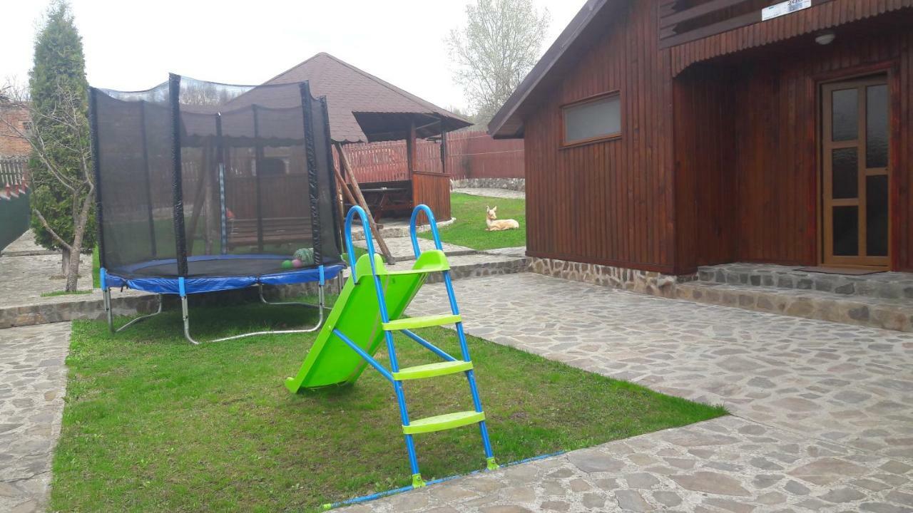 Pensiunea Nicol Hotel Valea Iasului Exterior foto
