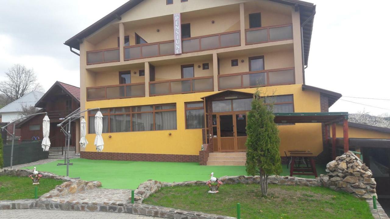 Pensiunea Nicol Hotel Valea Iasului Exterior foto